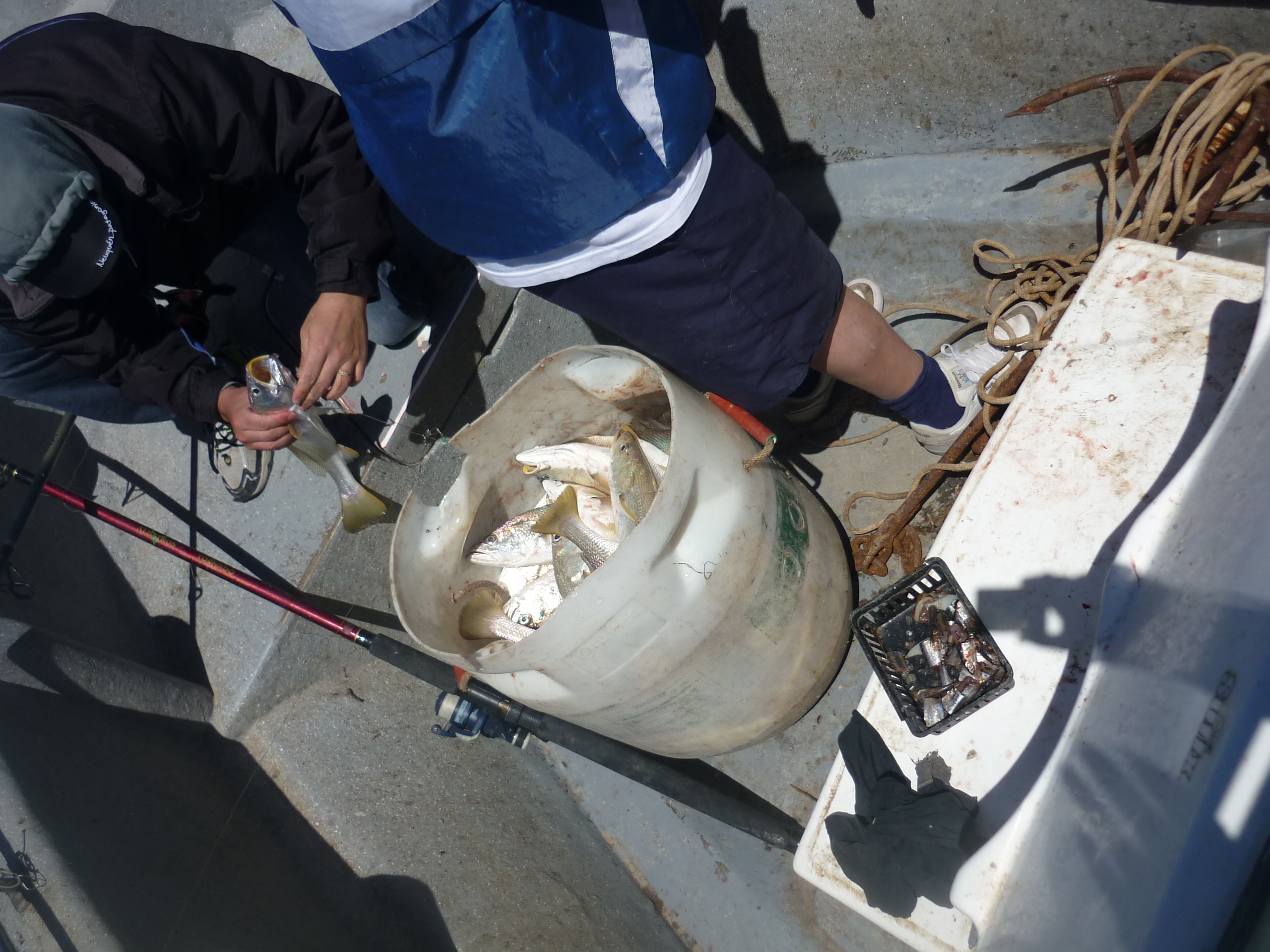 fotos/2012-12-08 - Pesca Bahia San Blas/P1030047.JPG